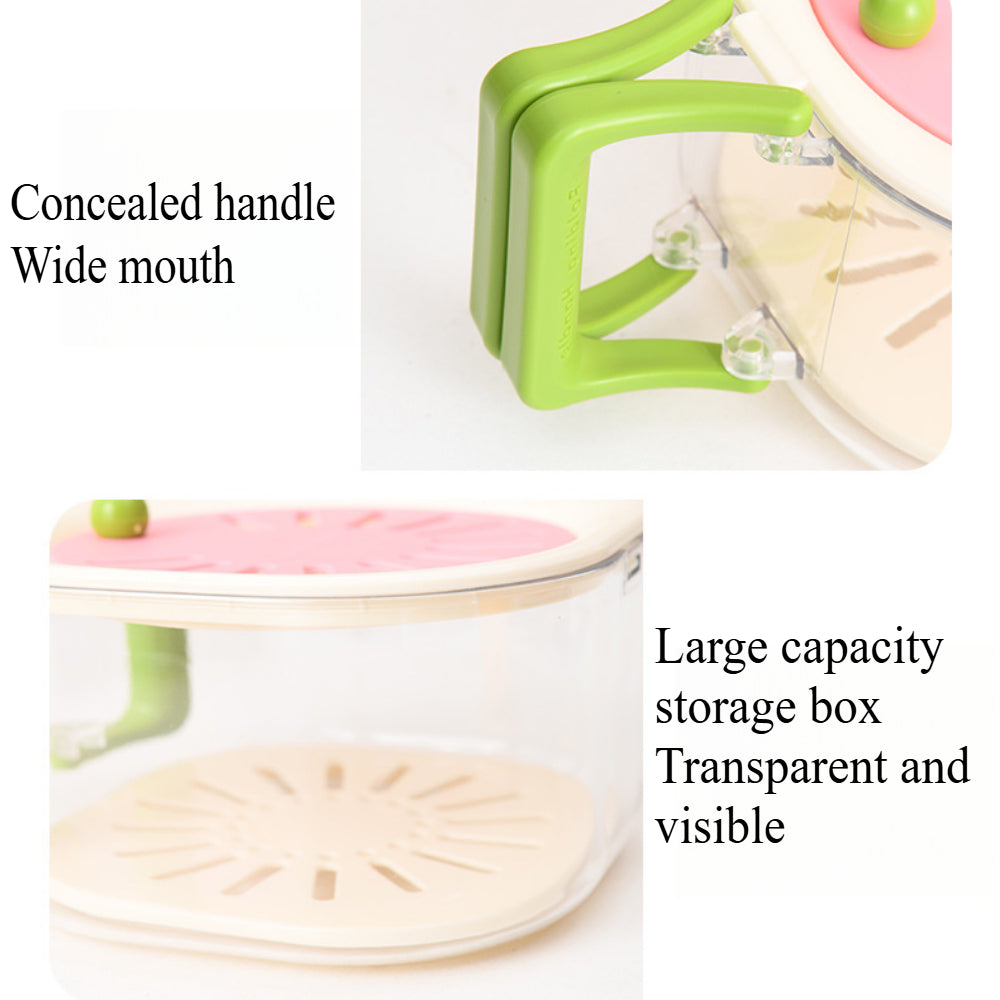 2-in-1 Fruit & Vegetable Washing Basket with Strainer Lid – Collapsible Handle Drainer Container for Kitchen Storage