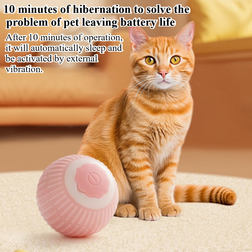 Interactive Cat Toy Ball - 360° Auto-Rolling with LED & Sound - USB Rechargeable Pet Toy