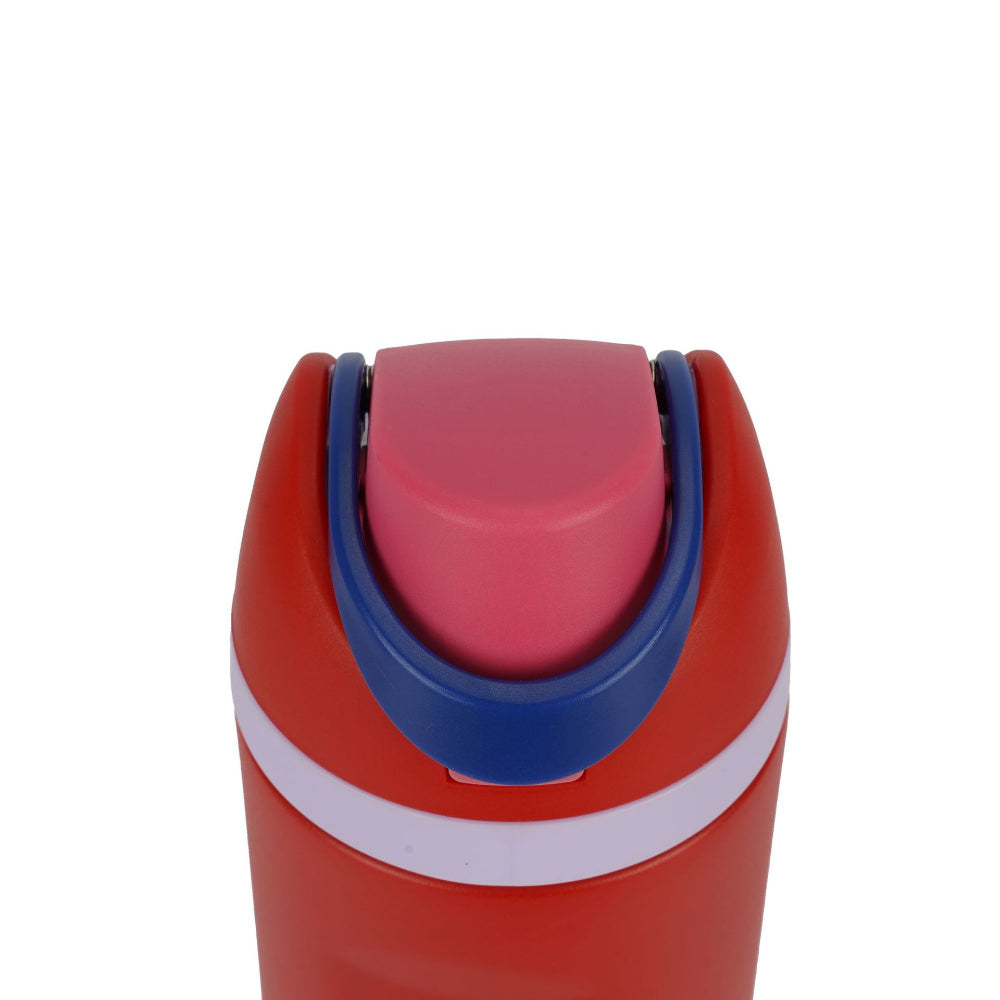 Insulated Stainless Steel Water Bottle with Straw - Double Drinking Portable Thermos for Sports & Travel
