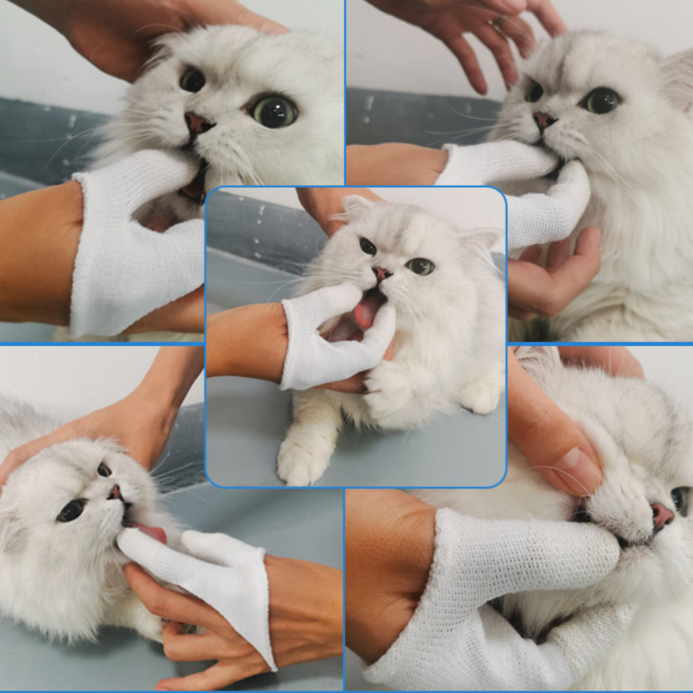 Dog Cat Finger Toothbrush – Soft Bristles for Pet Dental Care, Safe Oral Cleaning Brush (12-pack)