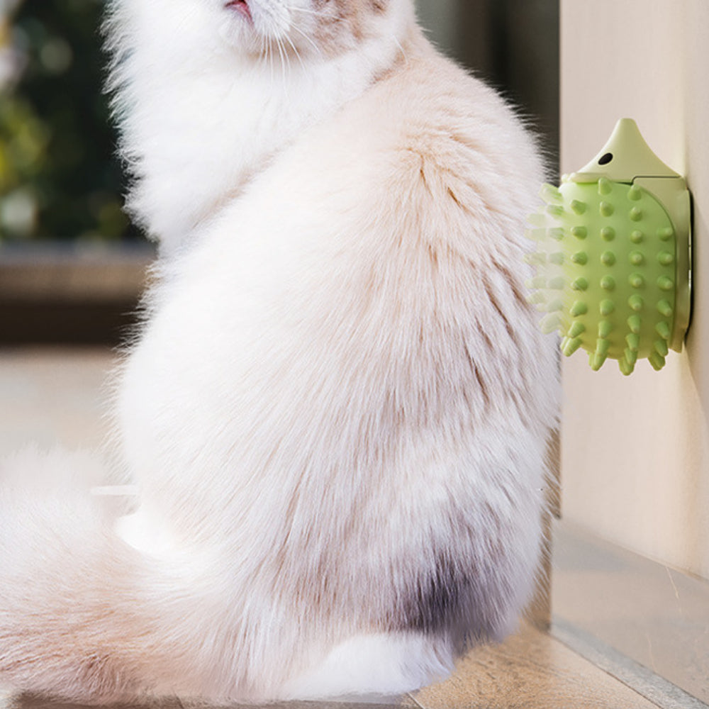 Interactive Catnip Wall Balls - Dual-Purpose Groomer & Toy (2-Pack) for Indoor Cats