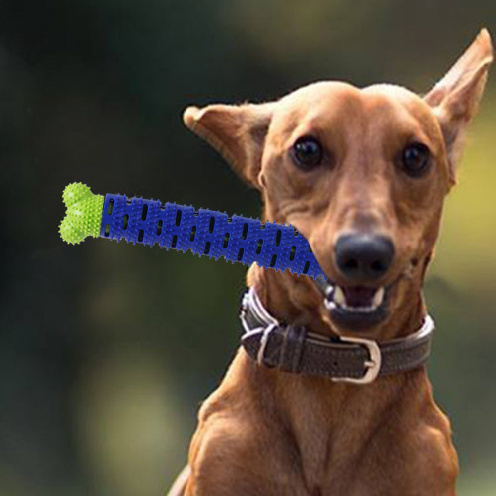 Interactive Dental Chew Toy for Dogs - Dual-Action Toothbrush Design, Promotes Oral Health & Play (Small Dogs/Puppies)