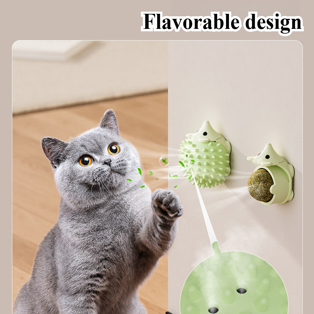 Interactive Catnip Wall Balls - Dual-Purpose Groomer & Toy (2-Pack) for Indoor Cats