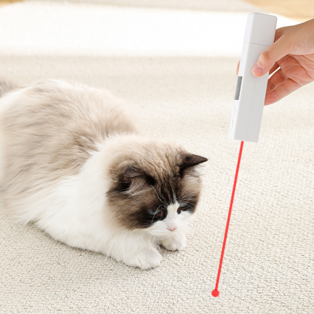 Electric Pet Nail Grinder – 4-Speed, Low Noise & Safe for Dogs & Cats of All Sizes