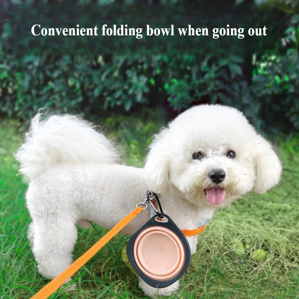2-Pack Collapsible Dog Bowls – Lightweight Pet Travel Food & Water Dishes
