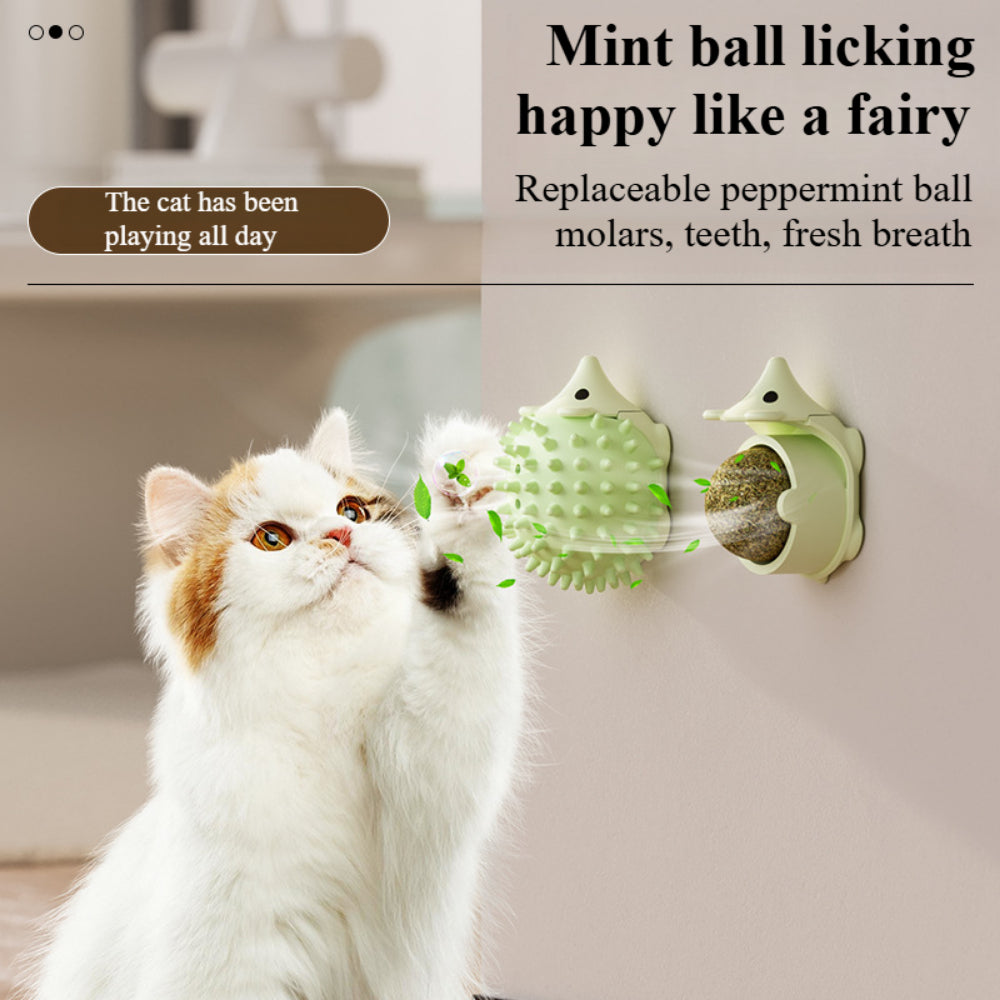 Interactive Catnip Wall Balls - Dual-Purpose Groomer & Toy (2-Pack) for Indoor Cats